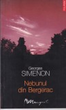 George Simenon - Nebunul din Bergerac