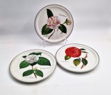 Cumpara ieftin 3 farfurii VILLEROY &amp; BOCH seria Camelii 1980 1982 1989 diametru 23 cm