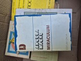 Miraculum vintage
