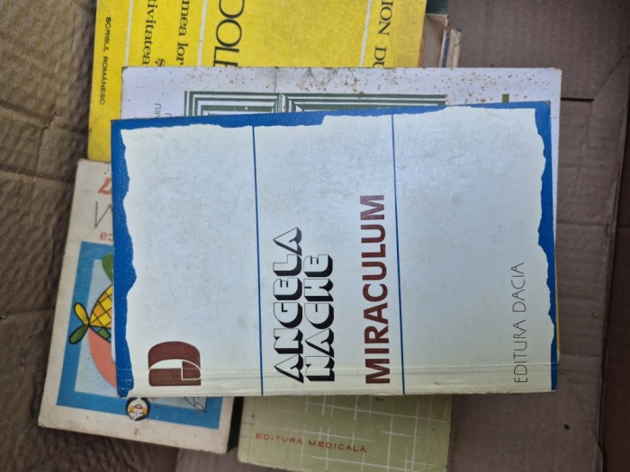 Miraculum vintage