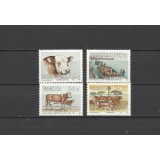 NAMIBIA 1993 FAUNA ANIMALE DOMESTICE VACI