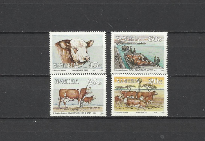 NAMIBIA 1993 FAUNA ANIMALE DOMESTICE VACI