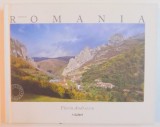 MADE IN ROMANIA FOTOGRAFII de FLORIN ANDREESCU , TEXT de MARIANA PASCARU , 2009