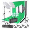 Kit studio foto,2 lumini softbox,2 umbrele,suport fundal 2x3 m, 4x bec 150W, 3 panze fundal multicolore si geanta transport, Dactylion