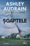 Cumpara ieftin Soaptele/Ashley Audrain