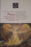 Marie Louise von Franz, Pisica. O Poveste despre Rascumpararea Femininului (Psihologie Jungiana, Arhetipuri, Simbolism, Feminin, Anima, Inconstient)