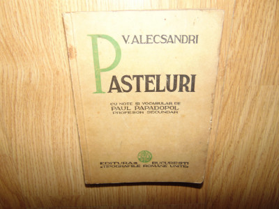 V.ALECSANDRI -PASTELURI foto