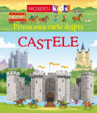 Prima mea carte despre Castele | Abigail Wheatley, Niculescu