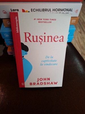 Rușinea - John Bradshaw foto