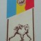 D9 48 - fanion - sport - comunism - box