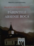 Ioan Sofonea - Am auzit un Sfant vorbind. Parintele Arsenie Boca (Editia: 2013)