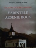 Ioan Sofonea - Am auzit un Sfant vorbind. Parintele Arsenie Boca (editia 2013)