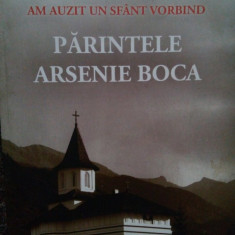 Ioan Sofonea - Am auzit un Sfant vorbind. Parintele Arsenie Boca (editia 2013)