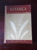 BOTANICA- ANGHEL, R5C