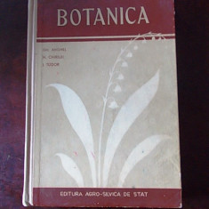 BOTANICA- ANGHEL, R5C