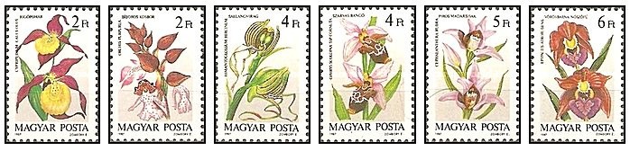 Ungaria 1987 - Flori, orhidee, serie neuzata