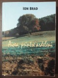 Ion Brad - Aicea, printre ardeleni (2007)