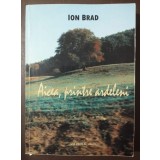 Ion Brad - Aicea, printre ardeleni (2007)