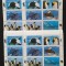 TUVA-Pinguini- 4 x 1 M/Sh.**( Colita )TR 28A