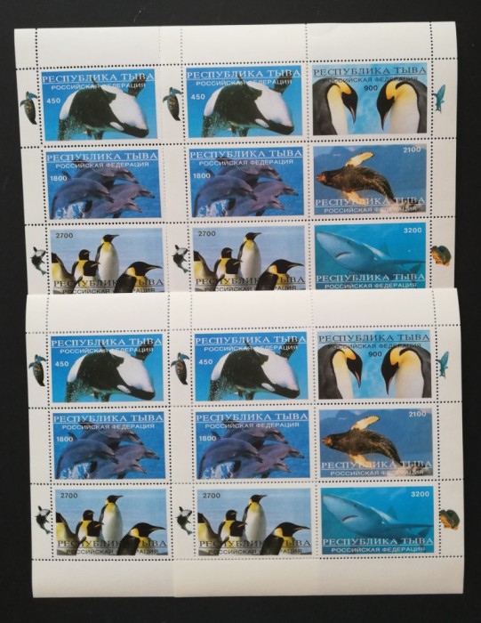 TUVA-Pinguini- 4 x 1 M/Sh.**( Colita )TR 28A