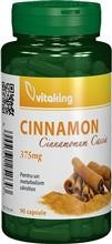 Capsule de Scortisoara (Cinnamon) 375mg Vitaking 90cps Cod: vk977 foto