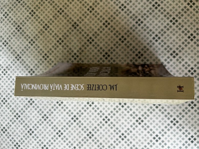 J. M. Coetzee - Scene de viata provinciala