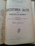 EXECUTAREA SILITA ASUPRA BUNURILOR IMOBILE - NICOLAE LUCA, CONS. POPESCU