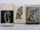 AUGUSTE RODIN- ARTA+ RODIN- PERIOADA 1840- 1886+ RAINER MARIA RILKE- AUGUSTE ROD