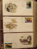 FAUNA WWF - 3 PLICURI PRIMA ZI
