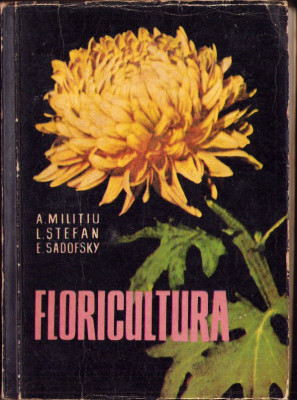 HST C4293N Floricultura de Amelia Milițiu, Livia Ștefan și Eugen Sadofsky, 1962 foto