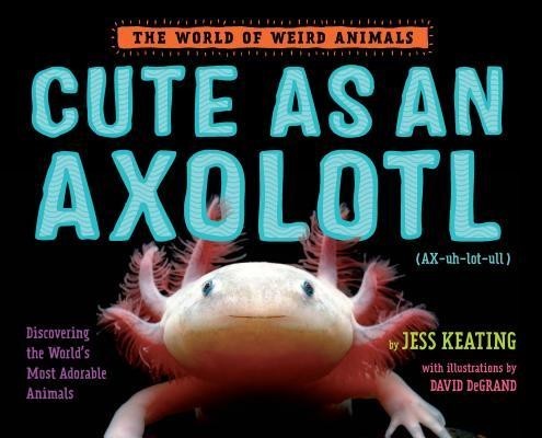 Cute as an Axolotl: Discovering the World&#039;s Most Adorable Animals