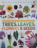 Our World in Pictures. Trees, Leaves, Flowers and Seeds - Carte straina in engleza