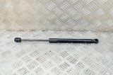 Amortizor capota st&acirc;nga față TESLA MODEL 3 2019 OEM: 1091472-00-B 14871049