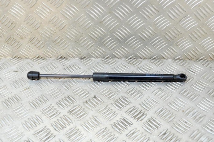 Amortizor capota st&acirc;nga față TESLA MODEL 3 2019 OEM: 1091472-00-B | 14871049