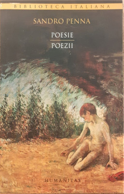 Poesie / Poezii Sandro Penna foto