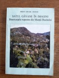 Satul Gavane in imagini - Ion Ceausu / R4P3S, Alta editura