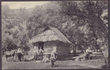 4952 - LUPENY, Hunedoara, ETHNIC, Country House, Romania - old postcard - unused, Necirculata, Fotografie