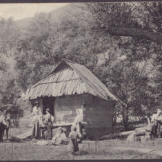 4952 - LUPENY, Hunedoara, ETHNIC, Country House, Romania - old postcard - unused