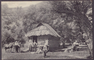4952 - LUPENY, Hunedoara, ETHNIC, Country House, Romania - old postcard - unused foto