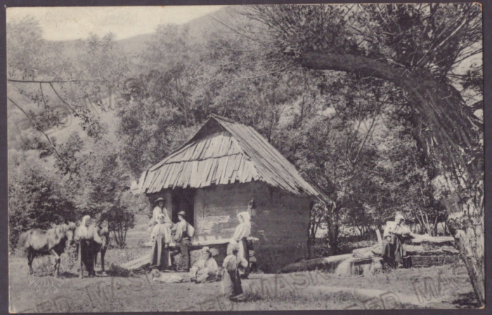 4952 - LUPENY, Hunedoara, ETHNIC, Country House, Romania - old postcard - unused