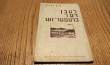 LANGA FABRICA DE CHERESTEA (idis) - David RUBIN - Forumul pentru Literatura si Arta Bucuresti, 100 p.