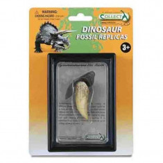 Figurina Dinte de Tyrannosaurus Rex Box Collecta, 3 ani+ foto