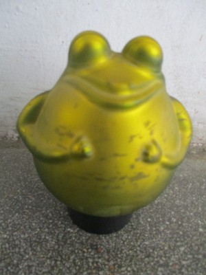 Broasca foto