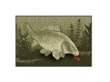 Cumpara ieftin Covor Delphin CatchME! CARP, 60x40cm
