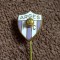 Insigna fotbal - FC ARGES PITESTI