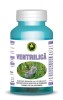 VENTRILICA 60cps HYPERICUM, HYPERICUM IMPEX