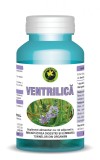 VENTRILICA 60cps HYPERICUM, HYPERICUM IMPEX