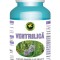 VENTRILICA 60cps HYPERICUM