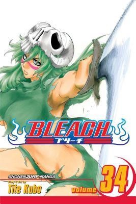 Bleach, Vol. 34 foto