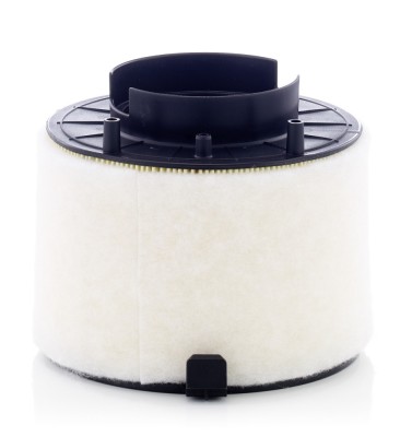MANN-FILTER C 17 009 Filtru aer foto